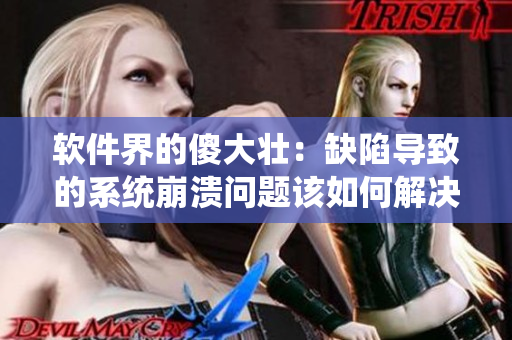 軟件界的傻大壯：缺陷導(dǎo)致的系統(tǒng)崩潰問(wèn)題該如何解決？