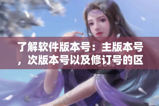 了解軟件版本號(hào)：主版本號(hào)，次版本號(hào)以及修訂號(hào)的區(qū)別