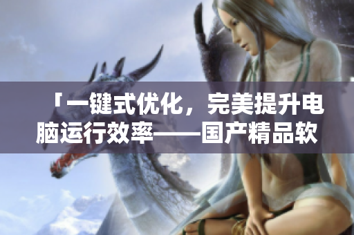 「一鍵式優(yōu)化，完美提升電腦運行效率——國產(chǎn)精品軟件終極優(yōu)化大師」