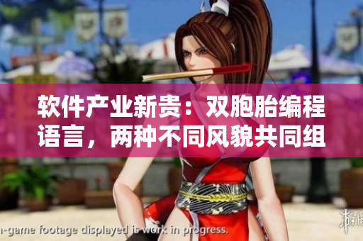 軟件產(chǎn)業(yè)新貴：雙胞胎編程語言，兩種不同風(fēng)貌共同組成完美程序