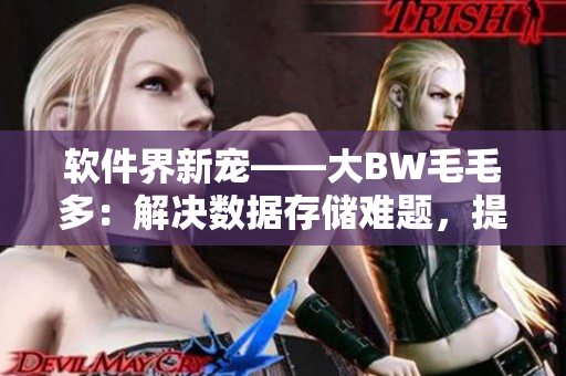 軟件界新寵——大BW毛毛多：解決數(shù)據(jù)存儲難題，提高工作效率