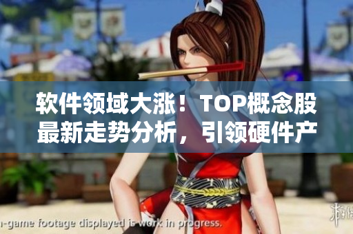 軟件領(lǐng)域大漲！TOP概念股最新走勢(shì)分析，引領(lǐng)硬件產(chǎn)業(yè)新風(fēng)向！