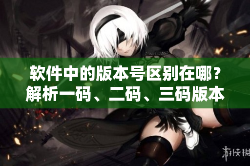 軟件中的版本號區(qū)別在哪？解析一碼、二碼、三碼版本號的區(qū)別