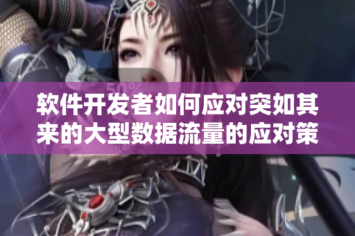 軟件開發(fā)者如何應(yīng)對(duì)突如其來的大型數(shù)據(jù)流量的應(yīng)對(duì)策略