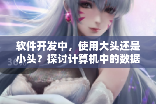 軟件開發(fā)中，使用大頭還是小頭？探討計算機(jī)中的數(shù)據(jù)存儲方式