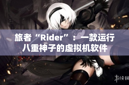 旅者“Rider”：一款運(yùn)行八重神子的虛擬機(jī)軟件