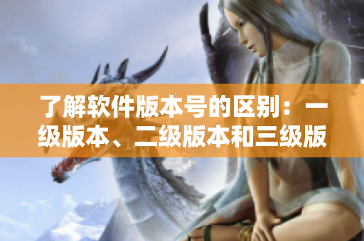 了解軟件版本號的區(qū)別：一級版本、二級版本和三級版本有何不同