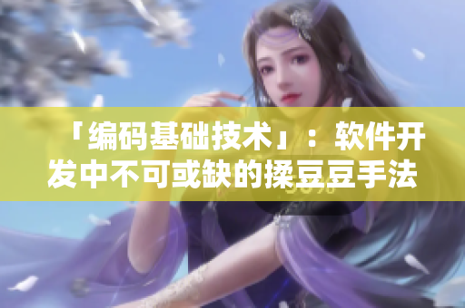 「編碼基礎(chǔ)技術(shù)」：軟件開發(fā)中不可或缺的揉豆豆手法