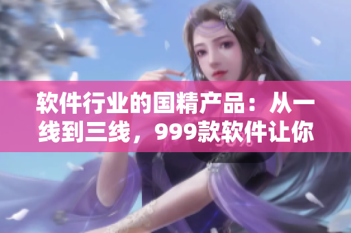軟件行業(yè)的國(guó)精產(chǎn)品：從一線到三線，999款軟件讓你愛不釋手