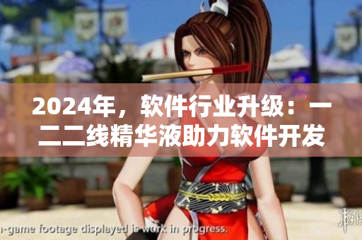 2024年，軟件行業(yè)升級(jí)：一二二線精華液助力軟件開發(fā)新飛躍