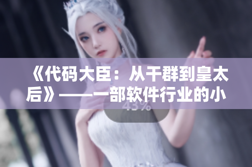 《代碼大臣：從干群到皇太后》——一部軟件行業(yè)的小說