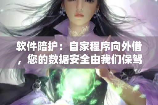 軟件陪護(hù)：自家程序向外借，您的數(shù)據(jù)安全由我們保駕護(hù)航