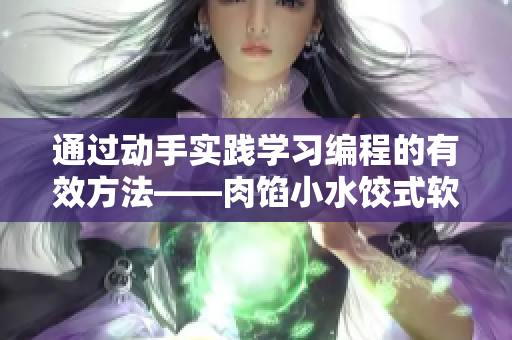 通過動手實踐學習編程的有效方法——肉餡小水餃式軟件編程教學